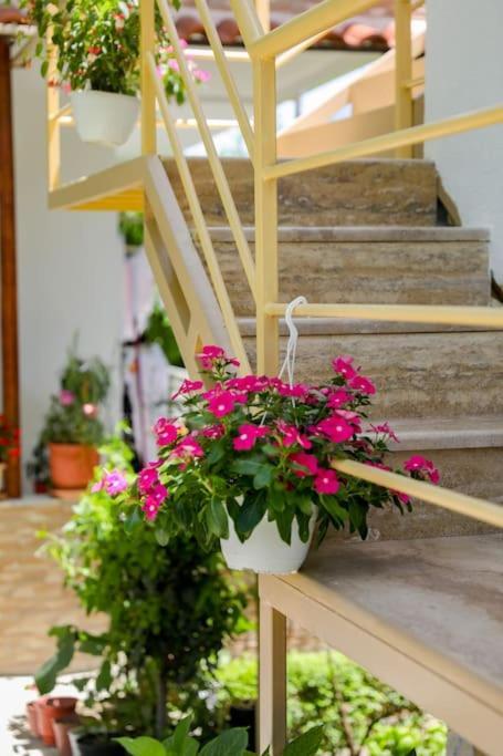 Cereni Guesthouse Berat Exterior foto